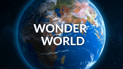 Wonder World